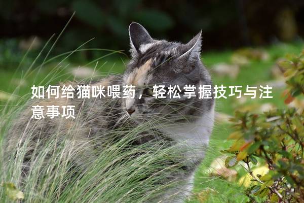 如何给猫咪喂药，轻松掌握技巧与注意事项