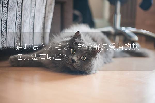 猫咪怎么去毛球，轻松解决爱猫的烦恼方法有哪些？