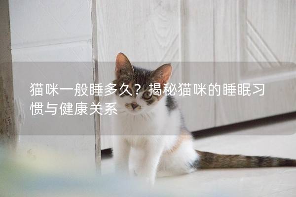 猫咪一般睡多久？揭秘猫咪的睡眠习惯与健康关系