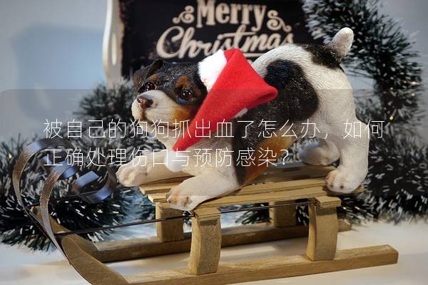被自己的狗狗抓出血了怎么办，如何正确处理伤口与预防感染？