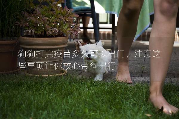 狗狗打完疫苗多久可以出门，注意这些事项让你放心带狗出行
