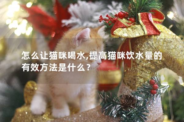 怎么让猫咪喝水,提高猫咪饮水量的有效方法是什么？
