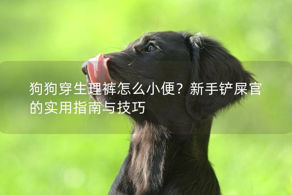 狗狗穿生理裤怎么小便？新手铲屎官的实用指南与技巧