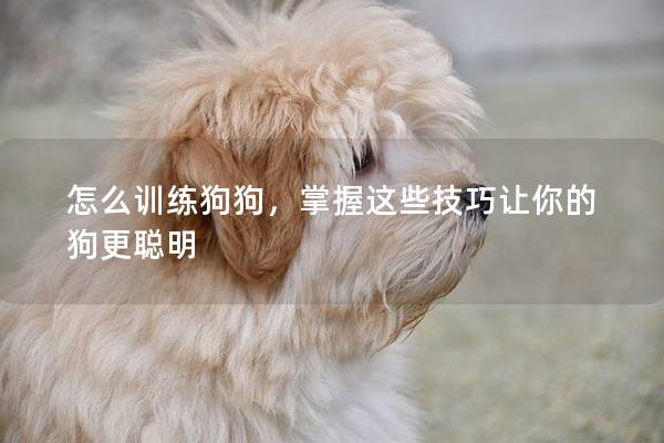 怎么训练狗狗，掌握这些技巧让你的狗更聪明
