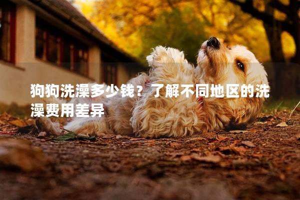 狗狗洗澡多少钱？了解不同地区的洗澡费用差异
