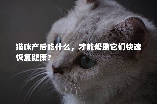 猫咪产后吃什么，才能帮助它们快速恢复健康？