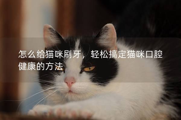 怎么给猫咪刷牙，轻松搞定猫咪口腔健康的方法