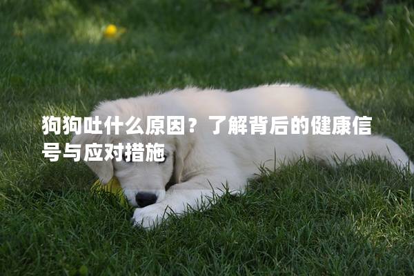 狗狗吐什么原因？了解背后的健康信号与应对措施
