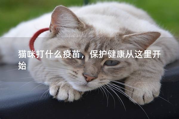 猫咪打什么疫苗，保护健康从这里开始