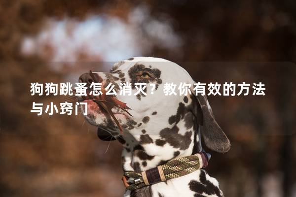 狗狗跳蚤怎么消灭？教你有效的方法与小窍门