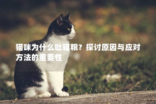猫咪为什么吐猫粮？探讨原因与应对方法的重要性