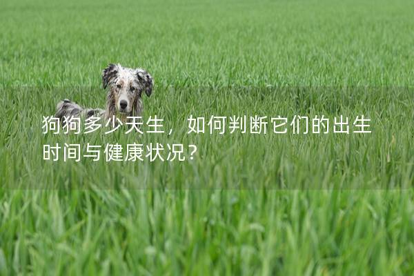 狗狗多少天生，如何判断它们的出生时间与健康状况？