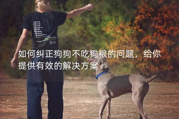 如何纠正狗狗不吃狗粮的问题，给你提供有效的解决方案