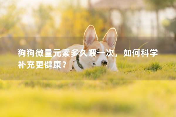 狗狗微量元素多久喂一次，如何科学补充更健康？