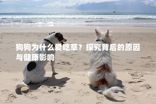 狗狗为什么爱吃草？探究背后的原因与健康影响