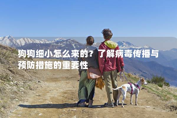 狗狗细小怎么来的？了解病毒传播与预防措施的重要性