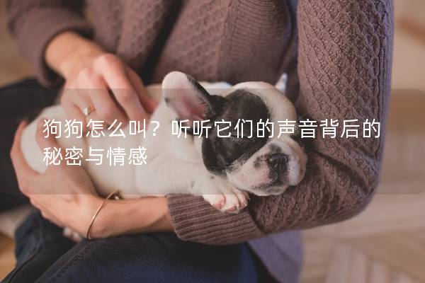 狗狗怎么叫？听听它们的声音背后的秘密与情感