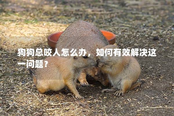 狗狗总咬人怎么办，如何有效解决这一问题？