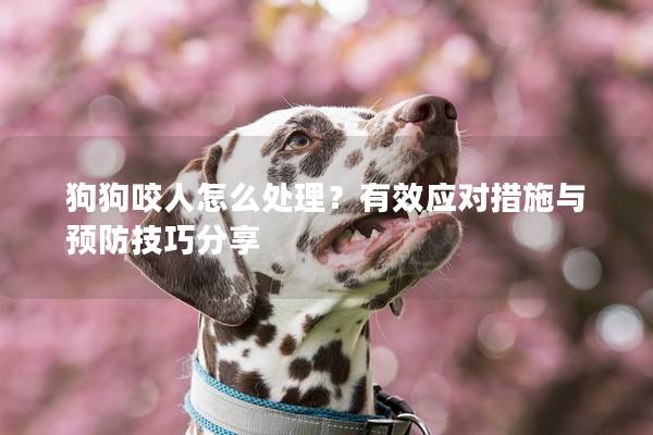 狗狗咬人怎么处理？有效应对措施与预防技巧分享