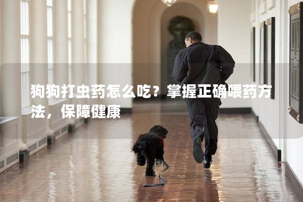 狗狗打虫药怎么吃？掌握正确喂药方法，保障健康