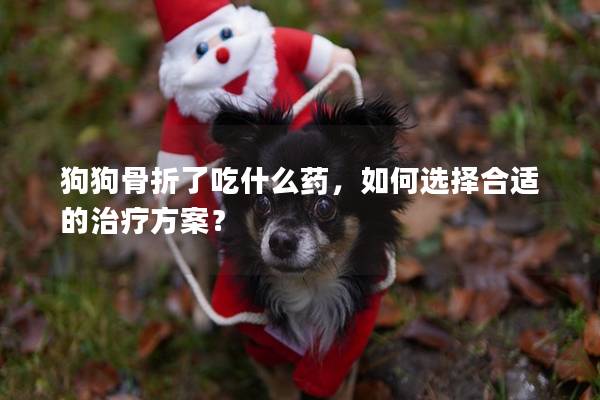 狗狗骨折了吃什么药，如何选择合适的治疗方案？