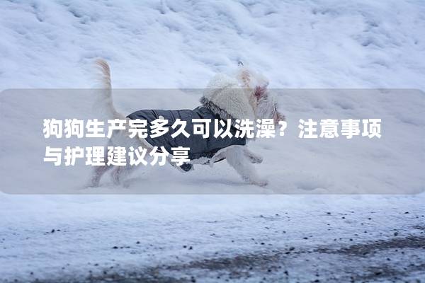 狗狗生产完多久可以洗澡？注意事项与护理建议分享