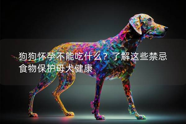 狗狗怀孕不能吃什么？了解这些禁忌食物保护母犬健康