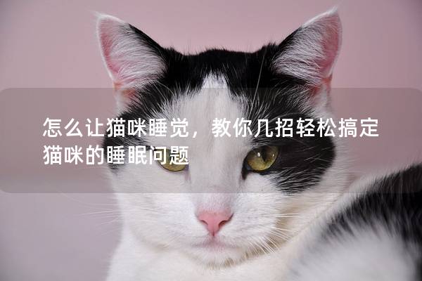 怎么让猫咪睡觉，教你几招轻松搞定猫咪的睡眠问题