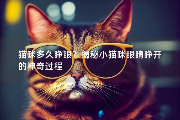 猫咪多久睁眼？揭秘小猫咪眼睛睁开的神奇过程