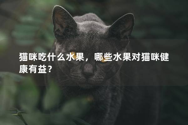 猫咪吃什么水果，哪些水果对猫咪健康有益？