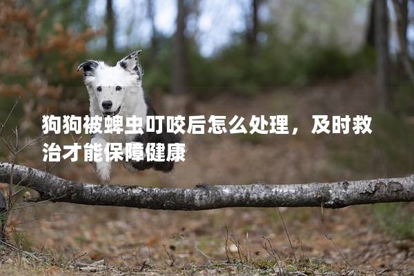 狗狗被蜱虫叮咬后怎么处理，及时救治才能保障健康