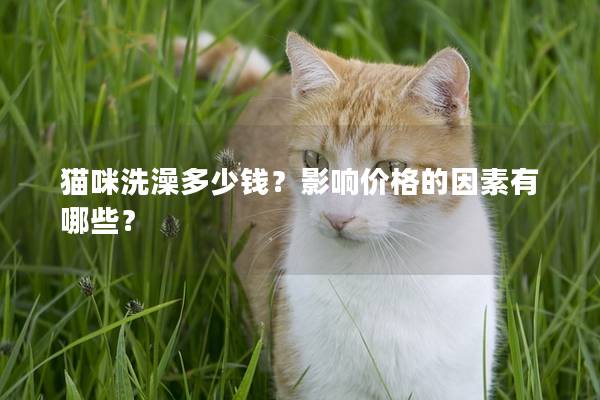 猫咪洗澡多少钱？影响价格的因素有哪些？