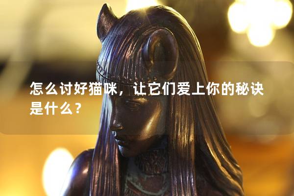 怎么讨好猫咪，让它们爱上你的秘诀是什么？