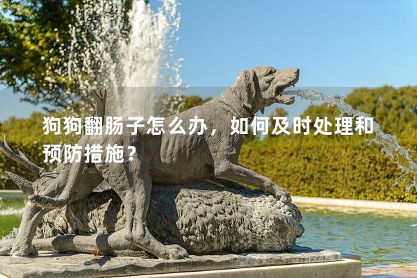 狗狗翻肠子怎么办，如何及时处理和预防措施？