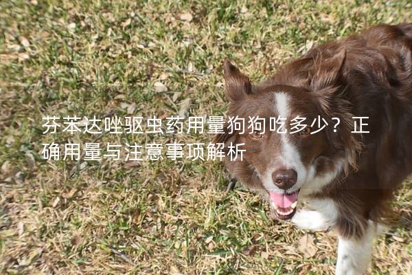 芬苯达唑驱虫药用量狗狗吃多少？正确用量与注意事项解析