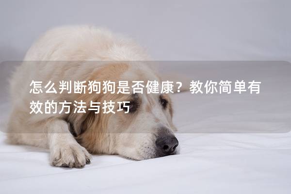 怎么判断狗狗是否健康？教你简单有效的方法与技巧