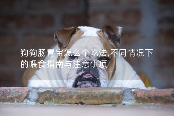 狗狗肠胃宝怎么个吃法,不同情况下的喂食指南与注意事项
