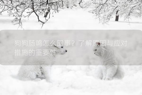 狗狗肠鸣怎么回事？了解原因与应对措施的重要性