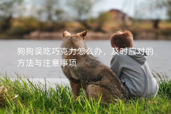 狗狗误吃巧克力怎么办，及时应对的方法与注意事项