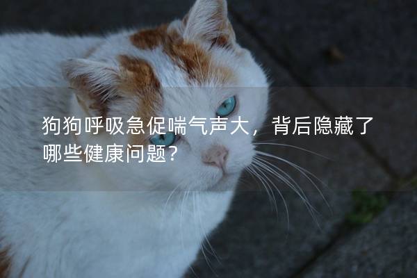 狗狗呼吸急促喘气声大，背后隐藏了哪些健康问题？