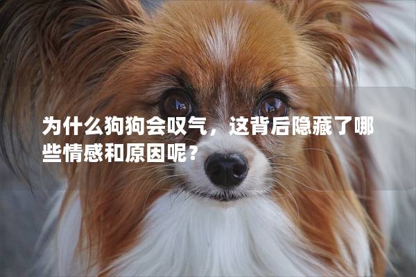 为什么狗狗会叹气，这背后隐藏了哪些情感和原因呢？