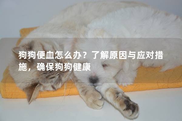 狗狗便血怎么办？了解原因与应对措施，确保狗狗健康