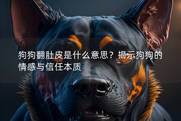 狗狗翻肚皮是什么意思？揭示狗狗的情感与信任本质