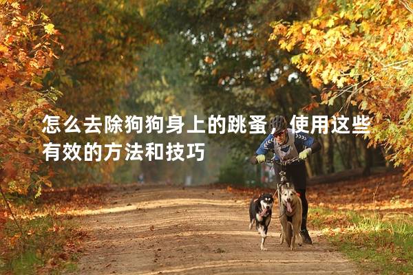 怎么去除狗狗身上的跳蚤，使用这些有效的方法和技巧