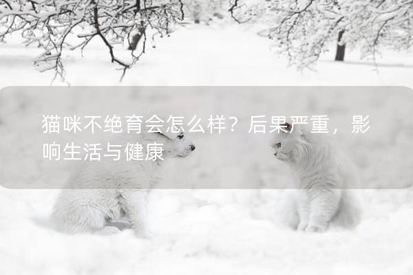 猫咪不绝育会怎么样？后果严重，影响生活与健康