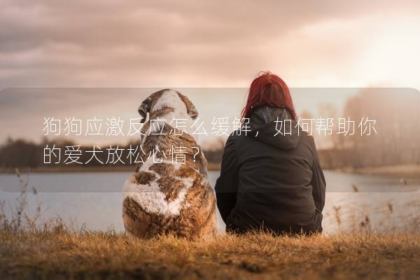 狗狗应激反应怎么缓解，如何帮助你的爱犬放松心情？