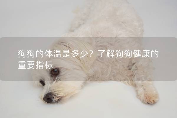 狗狗的体温是多少？了解狗狗健康的重要指标