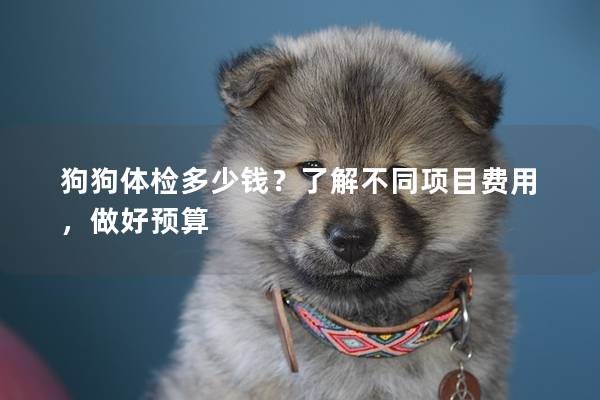狗狗体检多少钱？了解不同项目费用，做好预算