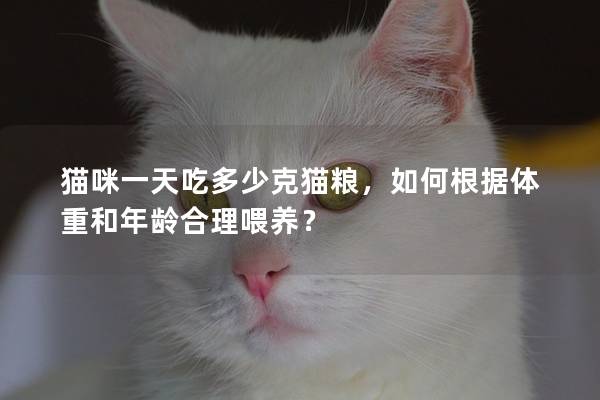 猫咪一天吃多少克猫粮，如何根据体重和年龄合理喂养？