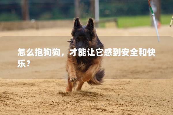 怎么抱狗狗，才能让它感到安全和快乐？